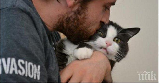 Тези котки не обичат да се гушкат и ясно заявиха своята позиция... Уникална колекция снимки, която си заслужава твоето внимание!