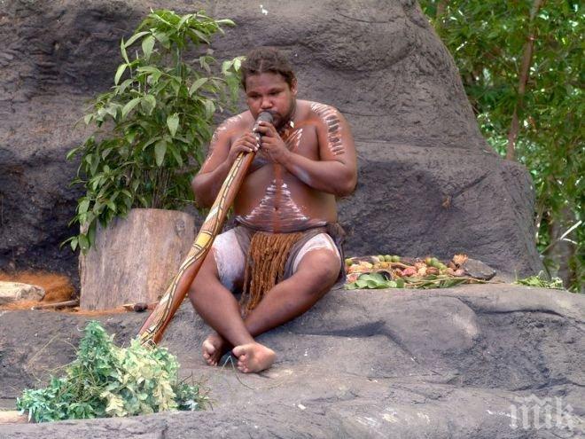 5-звезден хотел предложи „салата с печен абориген”!