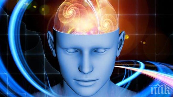 Суперкомпютър успешно симулира една секунда мозъчна активност