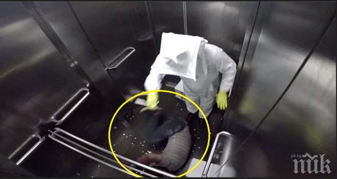 Той влезе в асансьора с кутия пълна с пчели, но какво се случи после? Хахаха наричат го „чистото зло“!