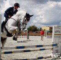 Конете били като хората - изразявали емоциите си с мимика