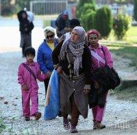 Голяма бежанска вълна залива Балканите