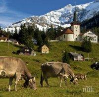 Френските фермери губят милиони евро заради руското ембарго