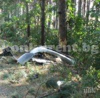 Пиян шофьор катастрофира край Враца (снимки)