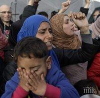 Девет сирийски бежанци гинат в ПТП в Турция