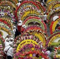 400 хил. души се събраха на фестивал на цветята в Меделин