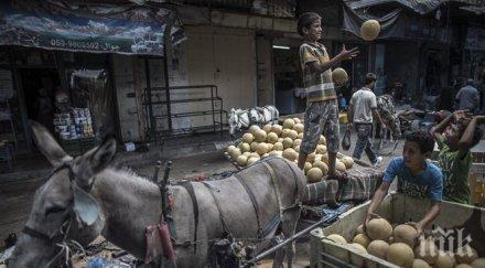 празнуват празника пъпеша
