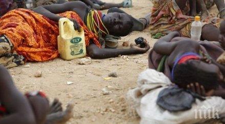 близо души загинаха тежък инцидент камиони судан