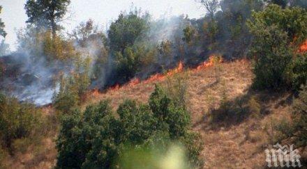 българско черноморие пожарът слънчев бряг арогантност природата забрани паленето огън