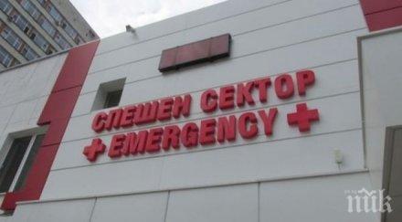 без сериозни наранявания жената ударена клон цар симеоновата градина пловдив