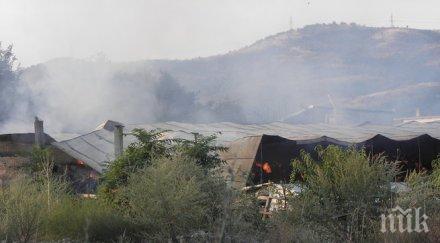 два коня 000 бали слама изгоряха пожар благоевград