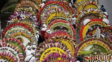 400 хил души събраха фестивал цветята меделин