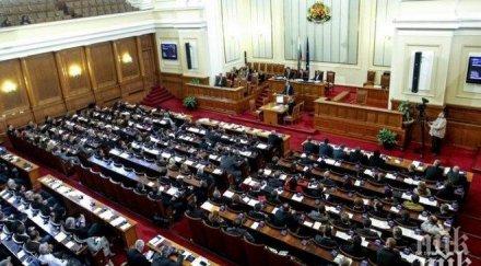 социолог провеждането референдум българия абсолютен нонсенс