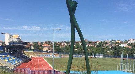 черешите бяла