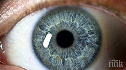 човешкото око възприема цветовете различен начин лятото зимата