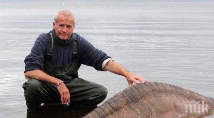 откриха далечен роднина чудовището езерото лохнес