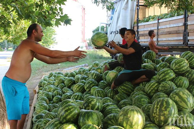 Дините и пъпешите по-скъпи с 16%