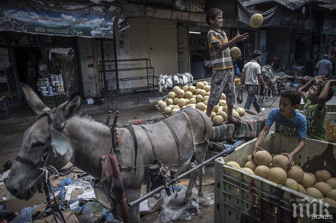 Къде празнуват празника на пъпеша?