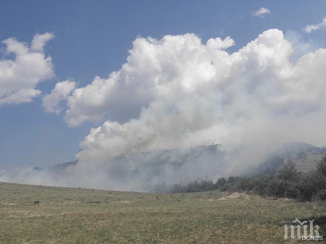 Потушиха пожара над село Бели Искър
