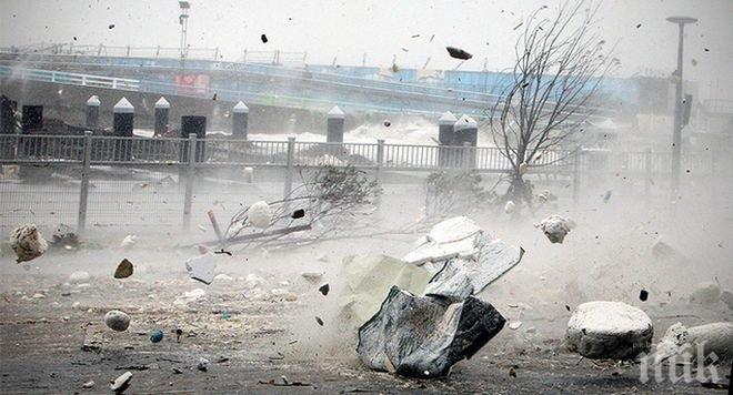 Осем души загинаха при опустошителен тайфун в Китай