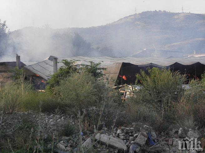 Два коня и 10 000 бали слама изгоряха при пожар в Благоевград