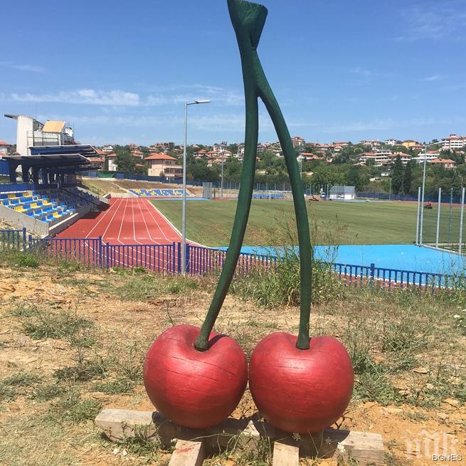 Черешите на Бяла