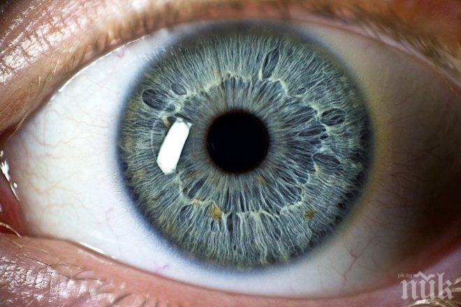 Човешкото око възприема цветовете по различен начин през лятото и през зимата 