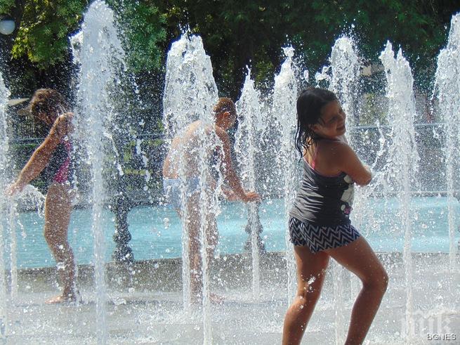 Слънчева неделя 