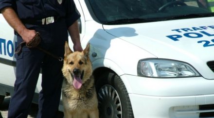 свиха 150 букмейкърски пункт петрич