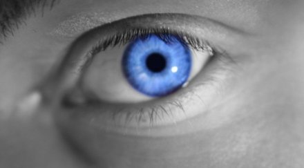 чернооките мъже благонадеждни синеоките