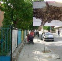 Напрежение в Куклен и Яврово: Заровили кожите с антракс над селото на Хайтов