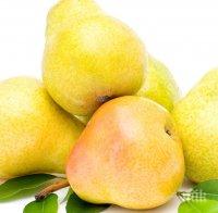 Сокът от круша лекува махмурлук