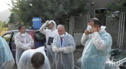 ужас бруцелозата нахлу плевенско поне кози заразени хора признаци болестта