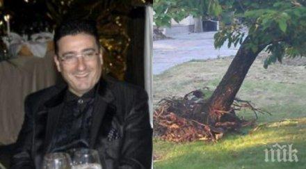 вълчо арабаджиев цигани глобата отсечената японска вишна мултимилионерът трепери изгори бона