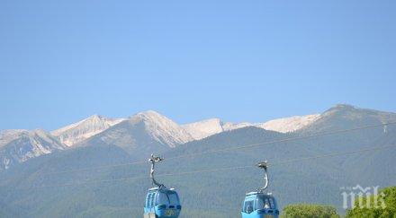 екоминистерството дава изсичане дървета парк пирин