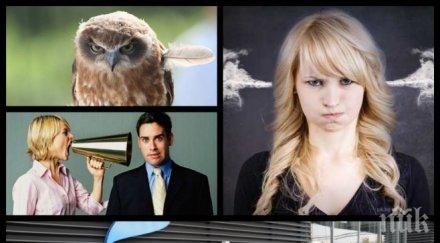 пик клиенти настръхнаха теленор боклуци сте координация екипа скандално надувате цените снимки