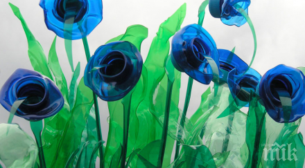 опишеш снимки боклук нов живот прецени кажи мнението