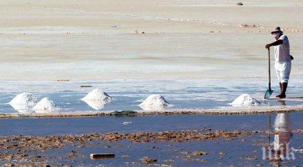 солта част живота