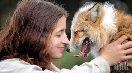 спасиха лисица случи вярване