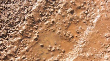 калта странен лечител