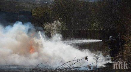 200 бали фураж горяха пожар тервелско