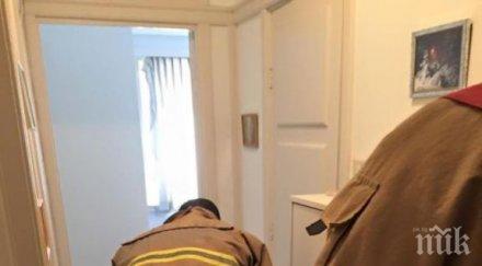 цигуларят ешкенази вдигна пожарната амстердам тревога