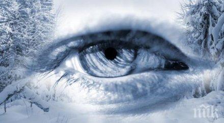 окото възприема цветовете различен начин лятото зимата