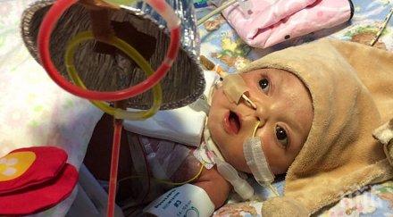 издъхна родителите съгласиха спрат животоподдържащите системи