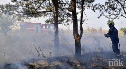 голям горски пожар гори дерето павльовия мост