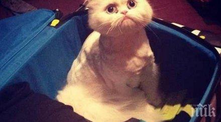 животни повярват отиваш без тях екскурзия почивка ваканция