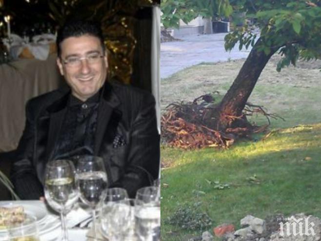 Вълчо Арабаджиев се цигани за глобата за отсечената японска вишна! Мултимилионерът трепери да не изгори с 50 бона!