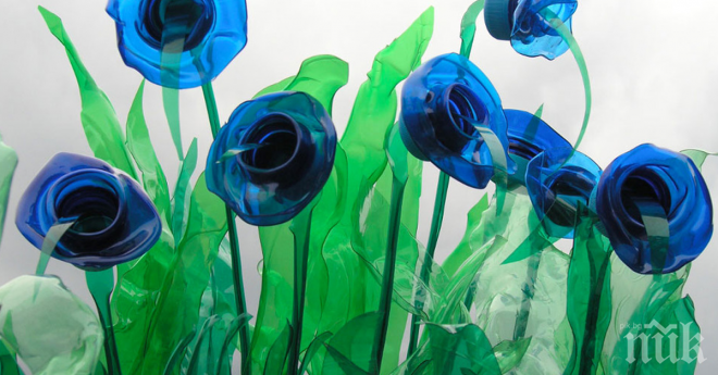 Ти как ще опишеш тези снимки, това боклук ли е или нов живот? Прецени и си кажи мнението...