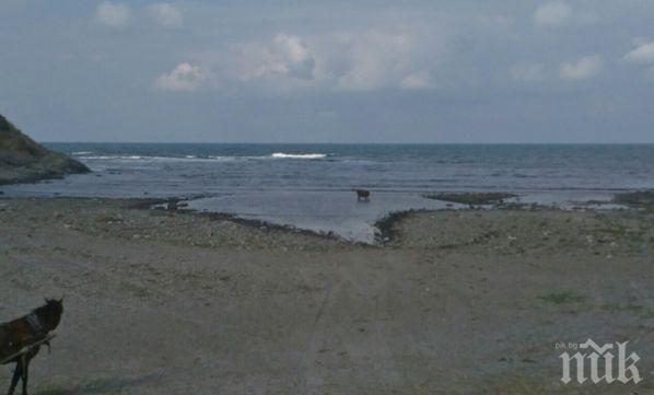 Внимавайте! Солуган убива по морето, след мъртвото вълнение зейнаха коварни ями!