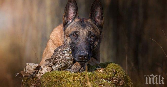 Едно необикновено приятелство